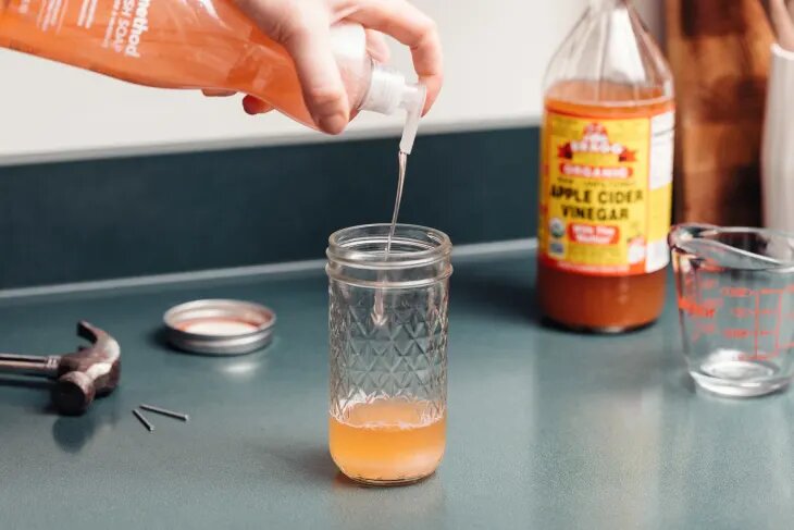 Apple Cider Vinegar flies Trap
