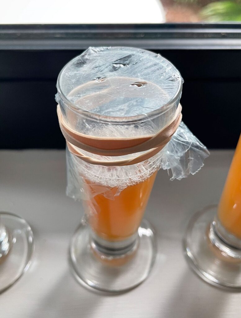 chemical free fly trap