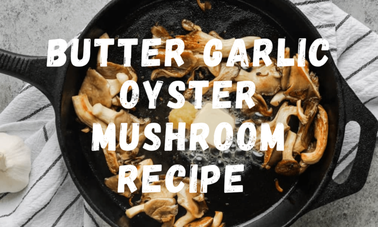 king oyster mushroom recipes