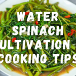 water spinach